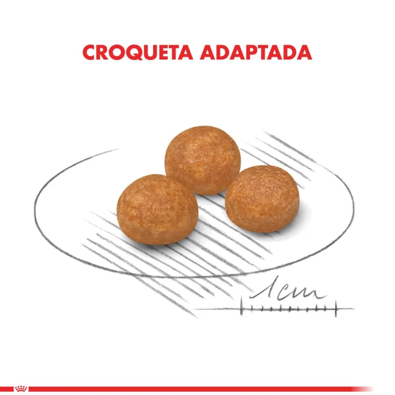 Royal Canin XSmall Adult 1kg
