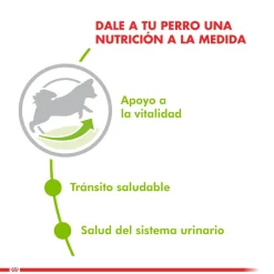 Royal Canin XSmall Mature 8+ 1kg