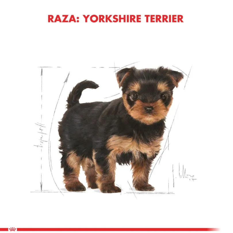 Royal Canin Yorkshire Terrier Puppy 3kg