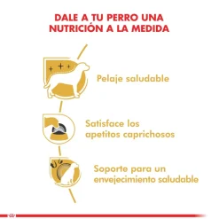 Royal Canin Yorkshire Terrier Adulto 3kg