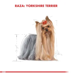 Royal Canin Yorkshire Terrier Adulto 2.5kg