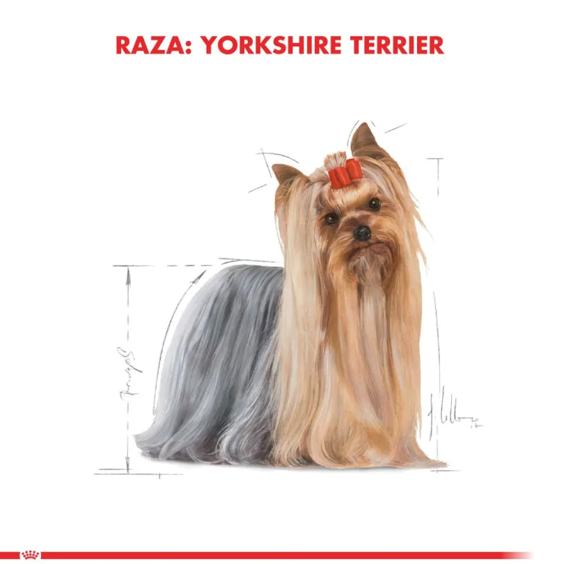 Royal Canin Yorkshire Terrier Adulto 2.5kg