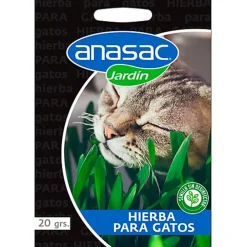 Semillas Hierba Gatera 20gr