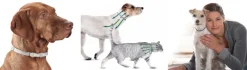 Seresto Collar antipulgas para Perros de más de 8kg