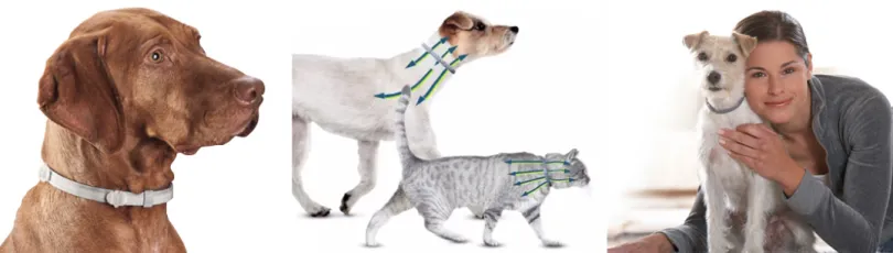 Seresto Collar antipulgas para Perros de más de 8kg