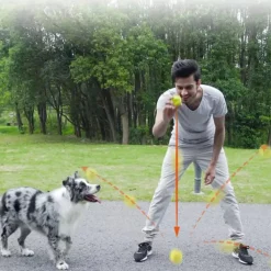 Skipdawg Agility Ball 2pk