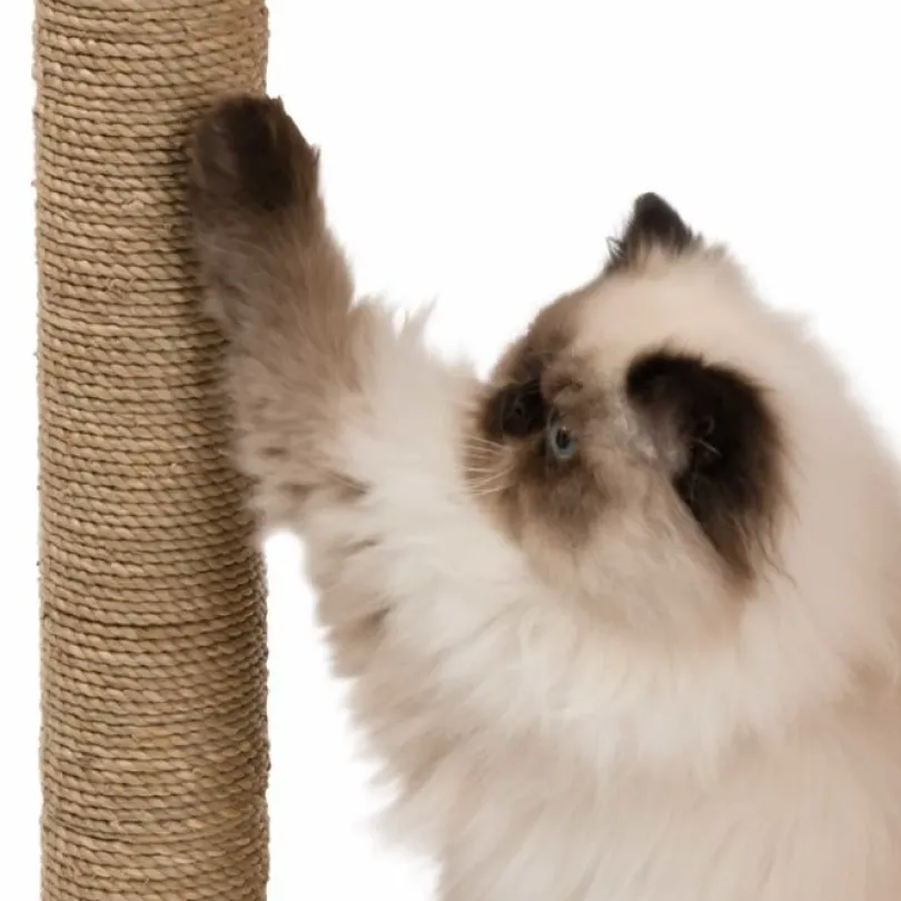 Vesper Box Large Walnut Rascador para Gatos