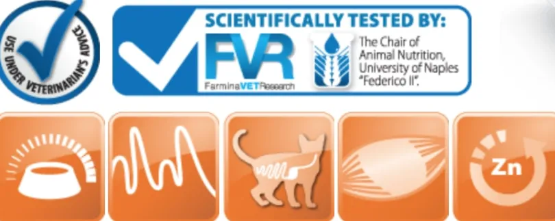 Vet Life Cat Convalescence Lata 85gr