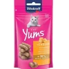 Vitakraft Cat Yums Queso 40gr