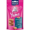 Vitakraft Cat Yums Salmón 40gr