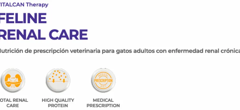 VitalCan Therapy Felino Renal 2kg