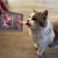Winga Magic Salmón Snack para Gatos 60gr