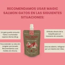 Winga Magic Salmón Snack para Gatos 60gr