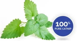 Xtreme Catnip Hierba Gatera Spray 118ml