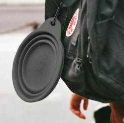 ZeeDog Plato Go Bowl Black